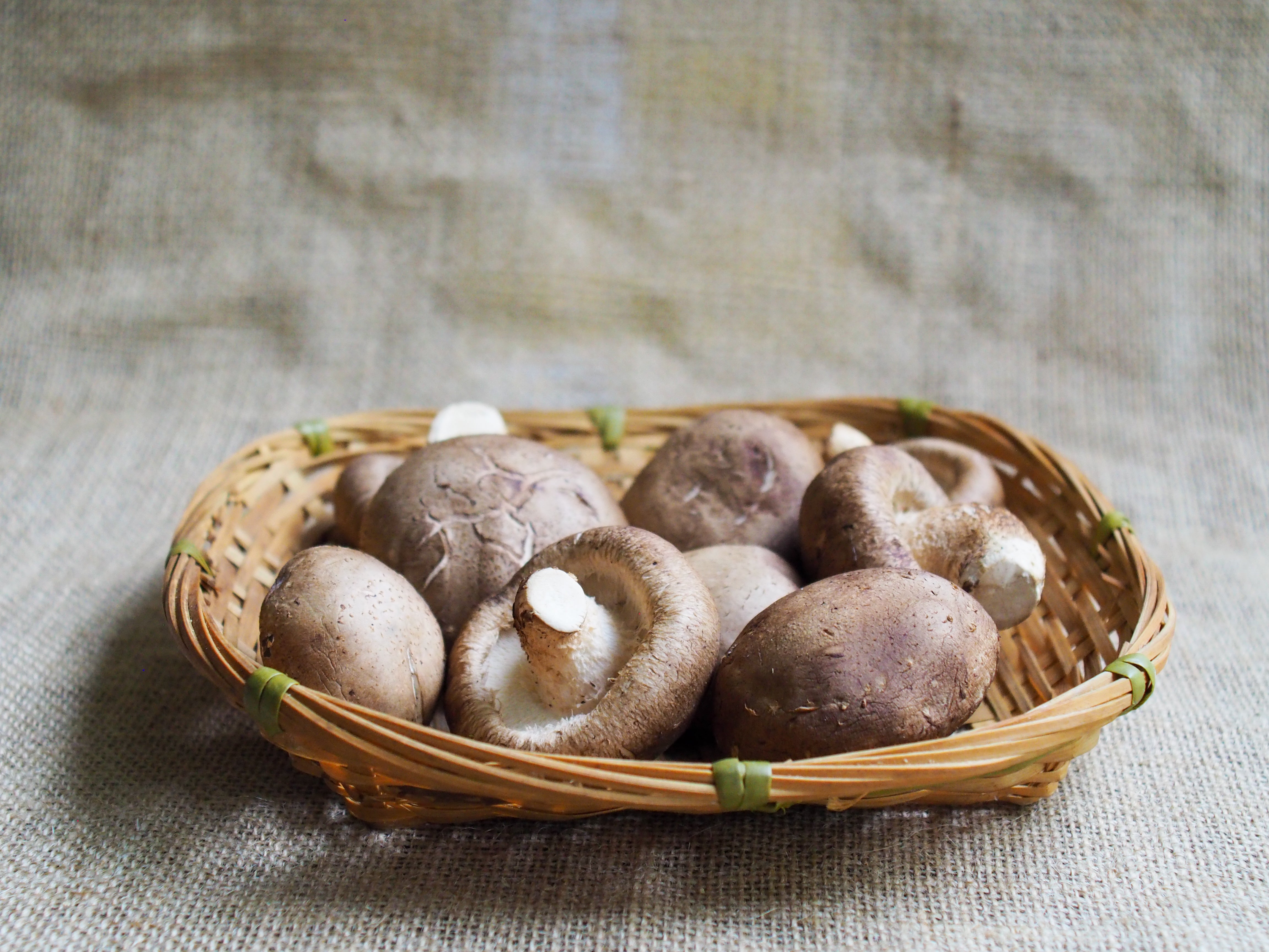 Local Shiitake Mushrooms 香菇